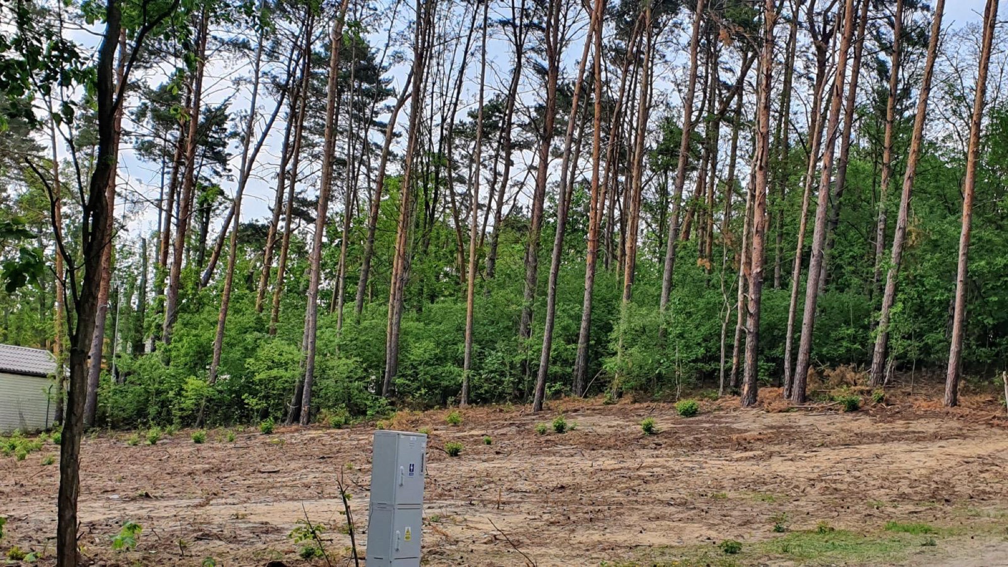 Działka — teren pod zabudowę w otoczeniu sosnowego lasu, z przyłączem
